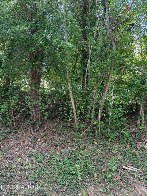 Tiny photo for 9478 Old Highway 28, Pikeville, TN 37367 (MLS # 1355819)