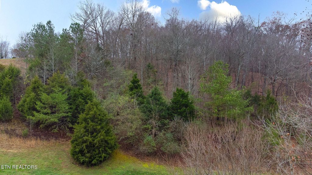 Photo of 130 Vineyard Drive, Loudon, TN 37774 (MLS # 1321822)
