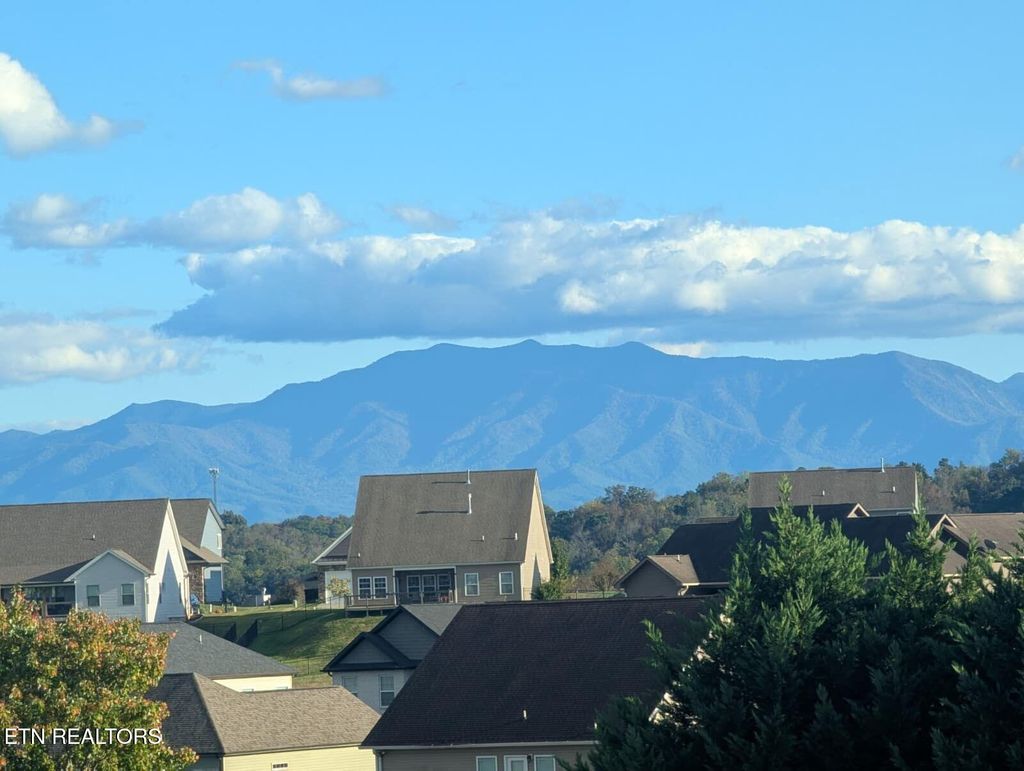 Photo of 1214 Rachel St, Sevierville, TN 37876 (MLS # 1321184)