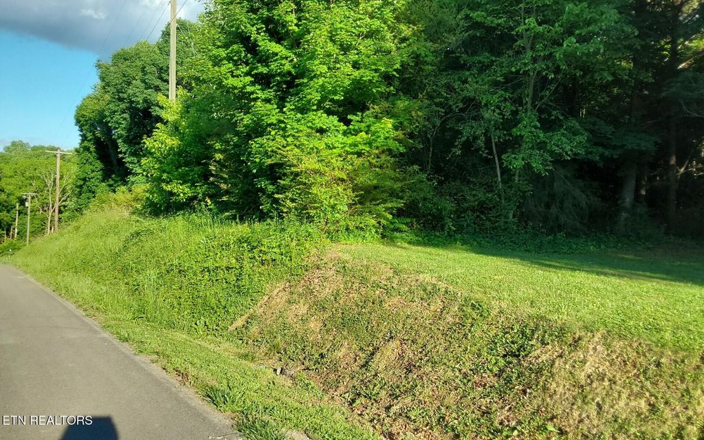Photo of 358 County Road 580, Athens, TN 37303 (MLS # 1340743)