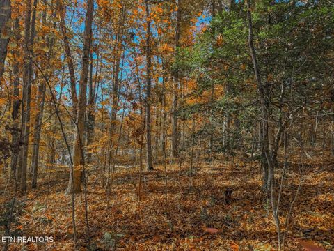 Tiny photo for 1413 Timber Trail, Newport, TN 37821 (MLS # 1320953)