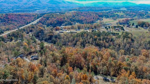 Tiny photo for 1413 Timber Trail, Newport, TN 37821 (MLS # 1320953)