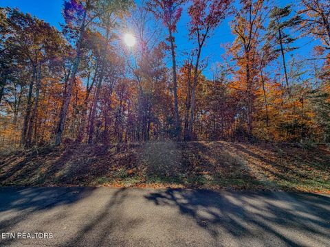 Tiny photo for 1413 Timber Trail, Newport, TN 37821 (MLS # 1320953)