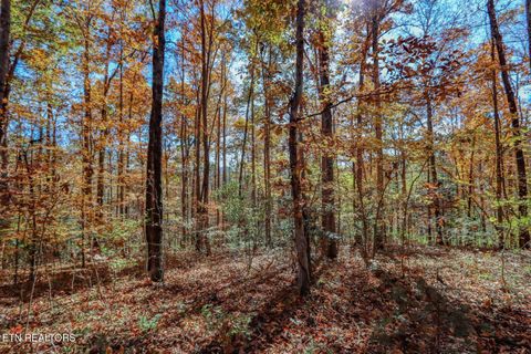 Tiny photo for 1413 Timber Trail, Newport, TN 37821 (MLS # 1320953)