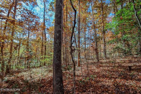Tiny photo for 1413 Timber Trail, Newport, TN 37821 (MLS # 1320953)
