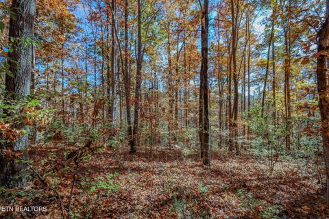 Tiny photo for 1413 Timber Trail, Newport, TN 37821 (MLS # 1320953)