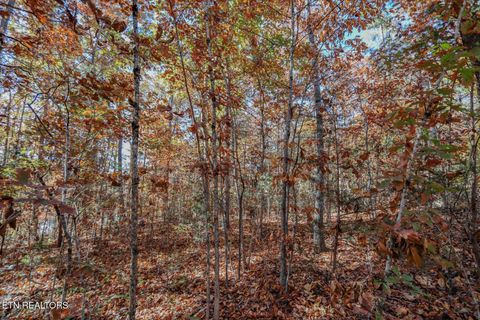 Tiny photo for 1413 Timber Trail, Newport, TN 37821 (MLS # 1320953)
