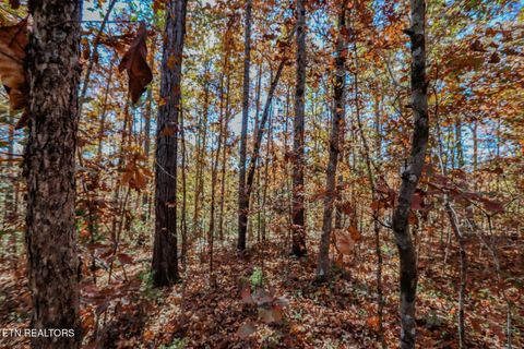 Tiny photo for 1413 Timber Trail, Newport, TN 37821 (MLS # 1320953)