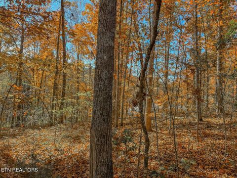 Tiny photo for 1413 Timber Trail, Newport, TN 37821 (MLS # 1320953)