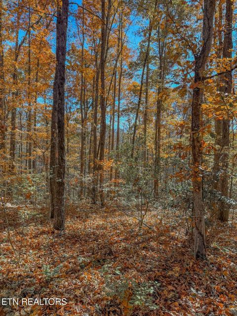 Tiny photo for 1413 Timber Trail, Newport, TN 37821 (MLS # 1320953)