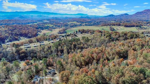 Tiny photo for 1413 Timber Trail, Newport, TN 37821 (MLS # 1320953)