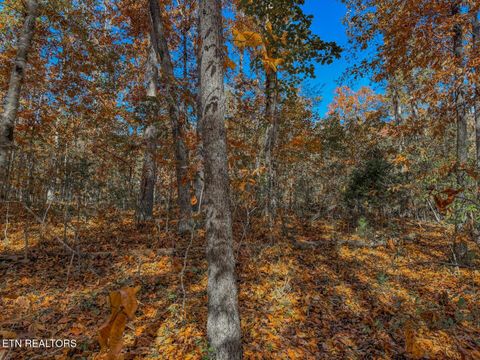 Tiny photo for 1413 Timber Trail, Newport, TN 37821 (MLS # 1320953)