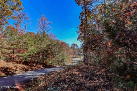 Tiny photo for 1413 Timber Trail, Newport, TN 37821 (MLS # 1320953)