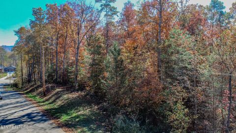 Tiny photo for 1413 Timber Trail, Newport, TN 37821 (MLS # 1320953)