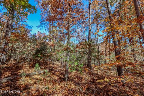 Tiny photo for 1413 Timber Trail, Newport, TN 37821 (MLS # 1320953)