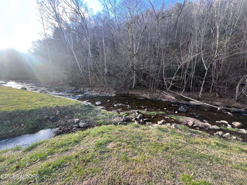 Photo of Blue Mill Rd, Del Rio, TN 37727 (MLS # 1324705)