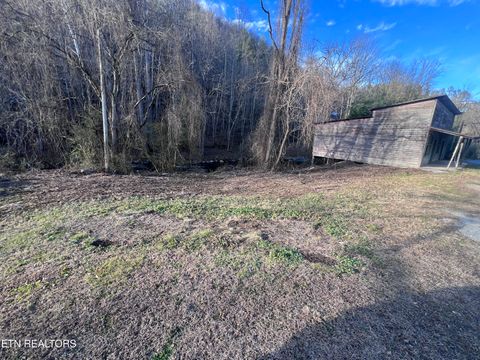 Tiny photo for Blue Mill Rd, Del Rio, TN 37727 (MLS # 1324705)
