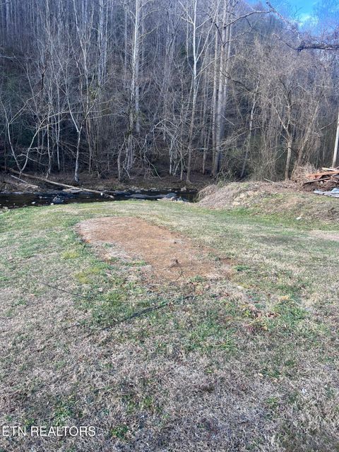 Tiny photo for Blue Mill Rd, Del Rio, TN 37727 (MLS # 1324705)