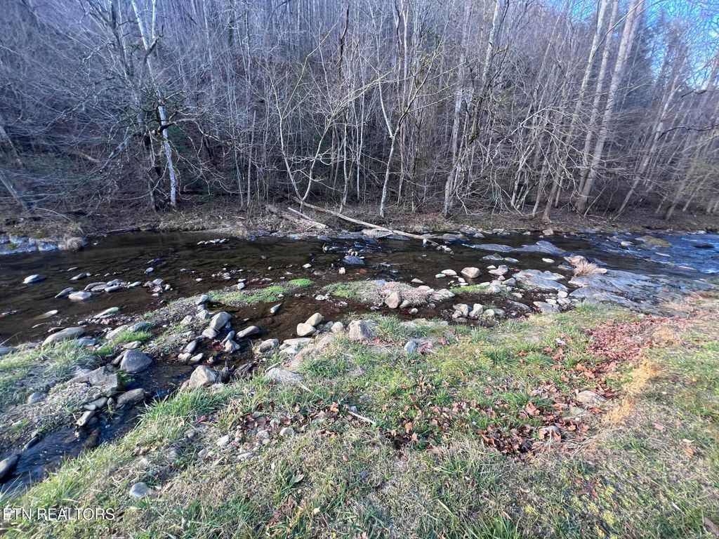 Photo of Blue Mill Rd, Del Rio, TN 37727 (MLS # 1324705)