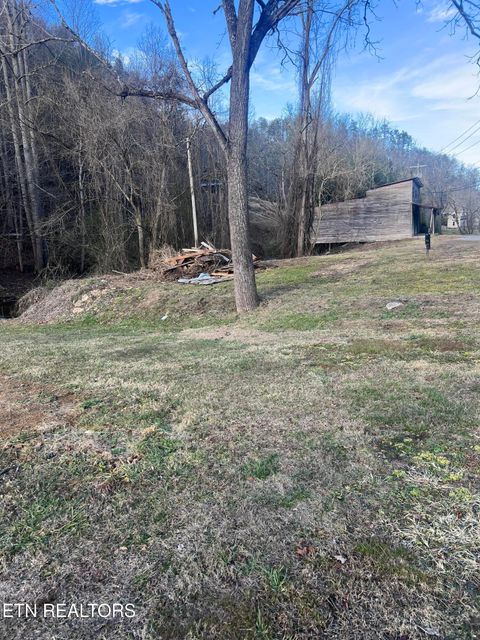 Tiny photo for Blue Mill Rd, Del Rio, TN 37727 (MLS # 1324705)