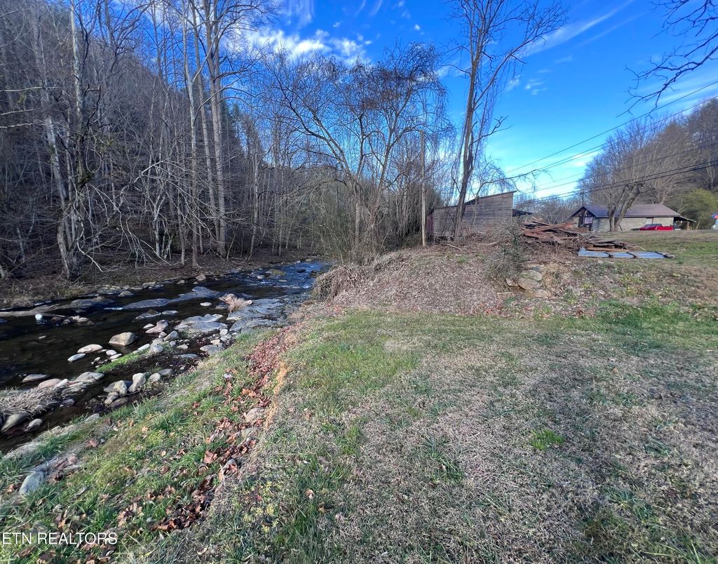 Photo of Blue Mill Rd, Del Rio, TN 37727 (MLS # 1324705)