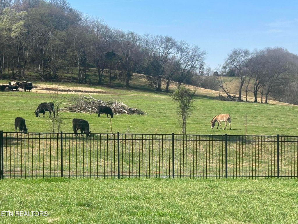 Photo of 2013 Farm Blvd, Sevierville, TN 37876 (MLS # 1336178)