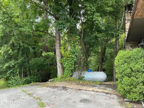 Tiny photo for 4390 Cosby Hwy, Cosby, TN 37722 (MLS # 1312583)