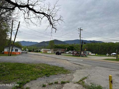 Tiny photo for 4390 Cosby Hwy, Cosby, TN 37722 (MLS # 1312583)