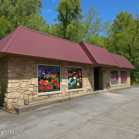 Photo of 4390 Cosby Hwy, Cosby, TN 37722 (MLS # 1312583)