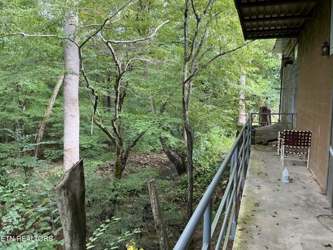 Tiny photo for 4390 Cosby Hwy, Cosby, TN 37722 (MLS # 1312583)