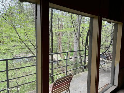 Tiny photo for 4390 Cosby Hwy, Cosby, TN 37722 (MLS # 1312583)