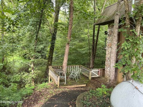 Tiny photo for 4390 Cosby Hwy, Cosby, TN 37722 (MLS # 1312583)