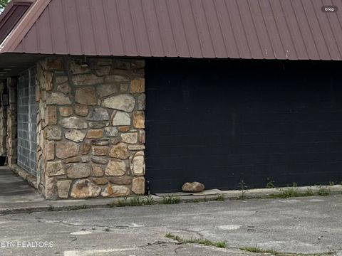 Tiny photo for 4390 Cosby Hwy, Cosby, TN 37722 (MLS # 1312583)