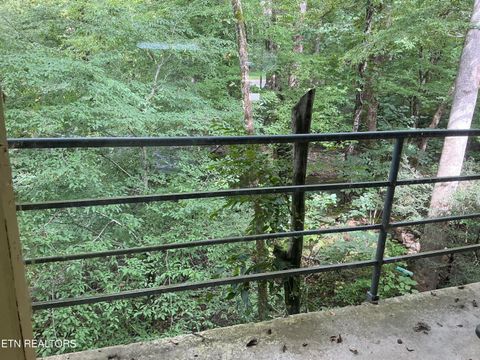 Tiny photo for 4390 Cosby Hwy, Cosby, TN 37722 (MLS # 1312583)