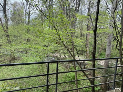 Tiny photo for 4390 Cosby Hwy, Cosby, TN 37722 (MLS # 1312583)