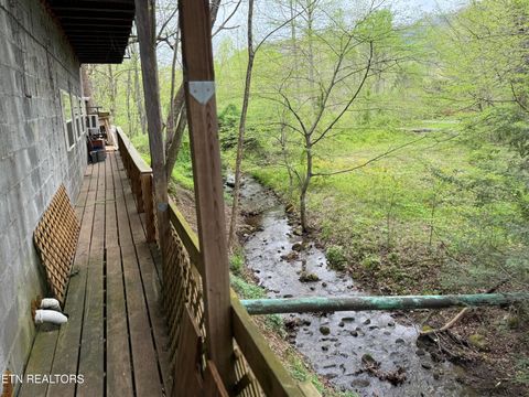 Tiny photo for 4390 Cosby Hwy, Cosby, TN 37722 (MLS # 1312583)