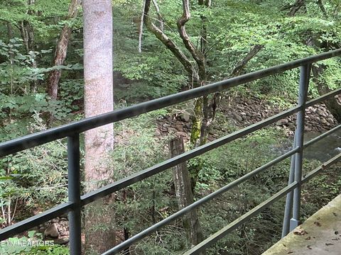 Tiny photo for 4390 Cosby Hwy, Cosby, TN 37722 (MLS # 1312583)