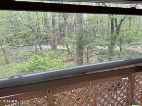 Tiny photo for 4390 Cosby Hwy, Cosby, TN 37722 (MLS # 1312583)