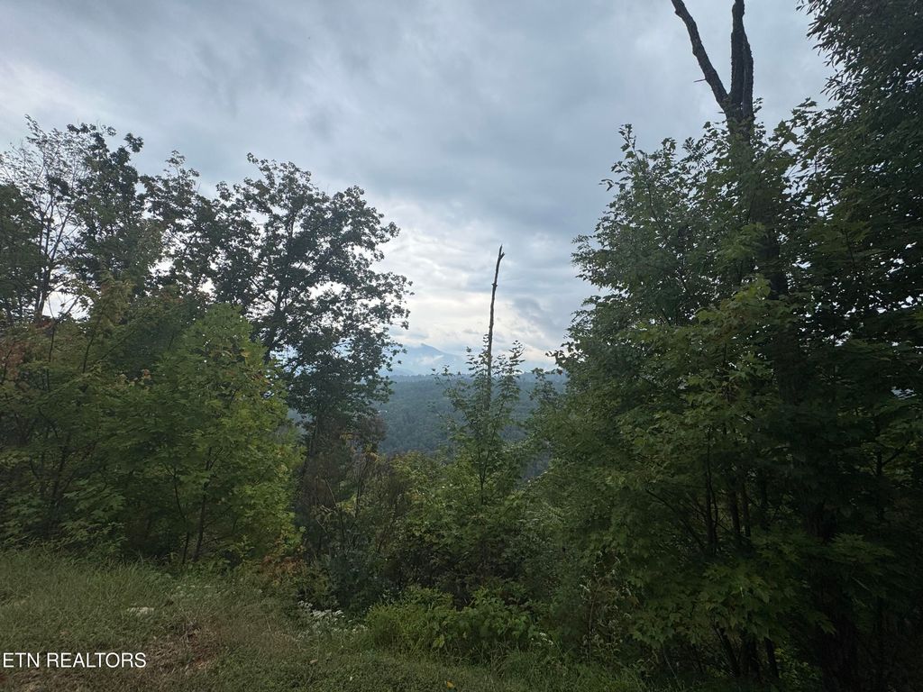 Photo of Enclave Park Way, Sevierville, TN 37862 (MLS # 1316634)