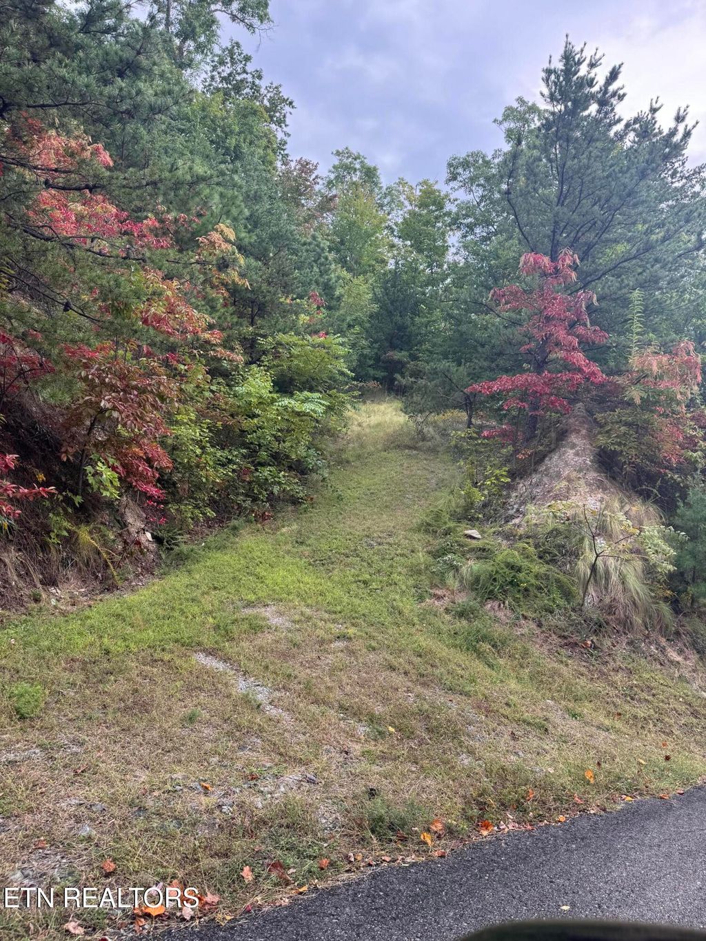 Photo of Enclave Park Way, Sevierville, TN 37862 (MLS # 1316634)