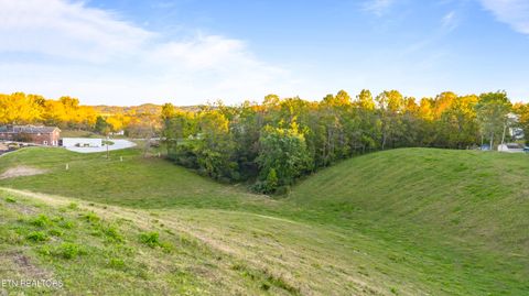 Tiny photo for TBD Sweetgum Lane, Jacksboro, TN 37757 (MLS # 1318769)