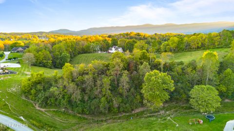 Tiny photo for TBD Sweetgum Lane, Jacksboro, TN 37757 (MLS # 1318769)