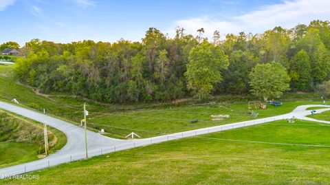 Tiny photo for TBD Sweetgum Lane, Jacksboro, TN 37757 (MLS # 1318769)