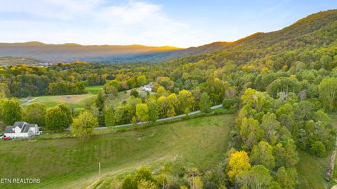 Tiny photo for TBD Sweetgum Lane, Jacksboro, TN 37757 (MLS # 1318769)