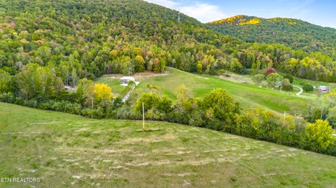 Tiny photo for TBD Sweetgum Lane, Jacksboro, TN 37757 (MLS # 1318769)