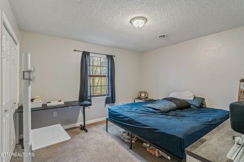 Tiny photo for 144 Allen Drive, Tazewell, TN 37879 (MLS # 1323981)