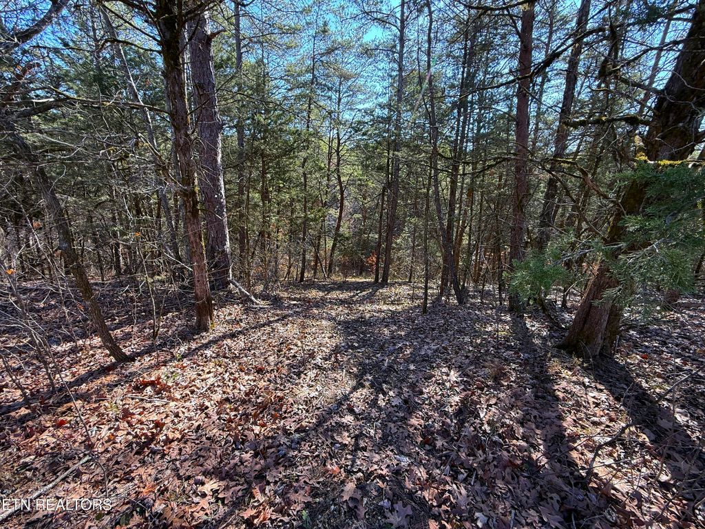 Photo of 135 Buck Horn Rd, Dandridge, TN 37725 (MLS # 1291258)