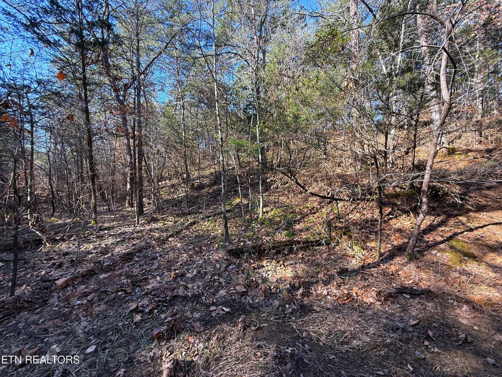Photo of 135 Buck Horn Rd, Dandridge, TN 37725 (MLS # 1291258)