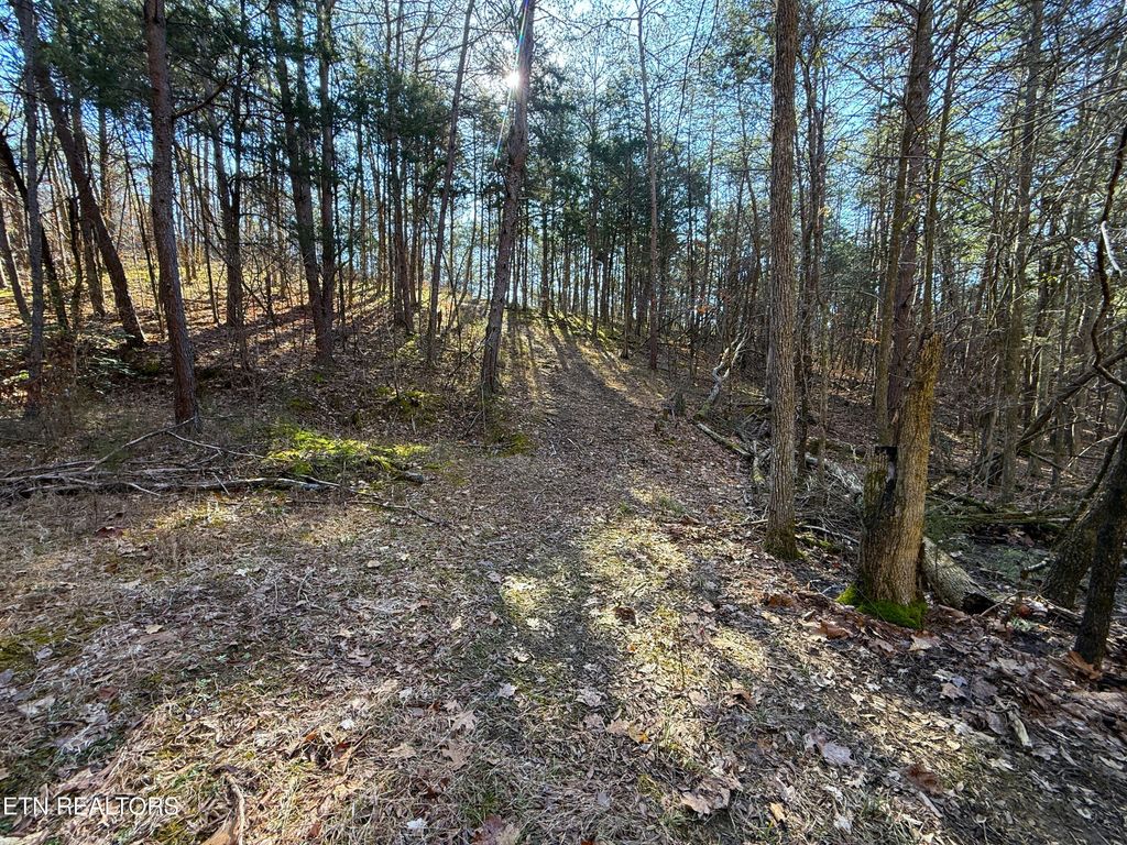 Photo of 135 Buck Horn Rd, Dandridge, TN 37725 (MLS # 1291258)