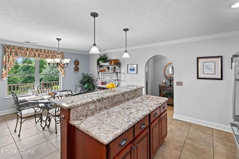 Tiny photo for 1040 Southwind Circle, Dandridge, TN 37725 (MLS # 1343383)